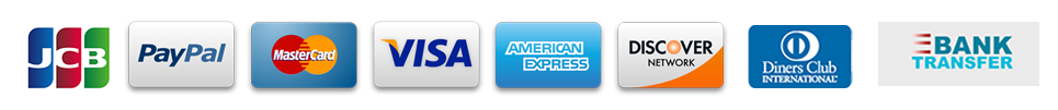 visa master card american express paypal